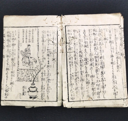 "Ikebana Early Techniques" (Seika Hayamana Hishu) 3 Volumes, Illustrated Woodblock Printed Book (Edo Period)