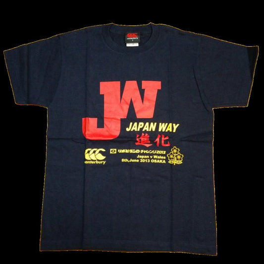 2010s Japan Rugby National Team T-Shirt, US Size Small