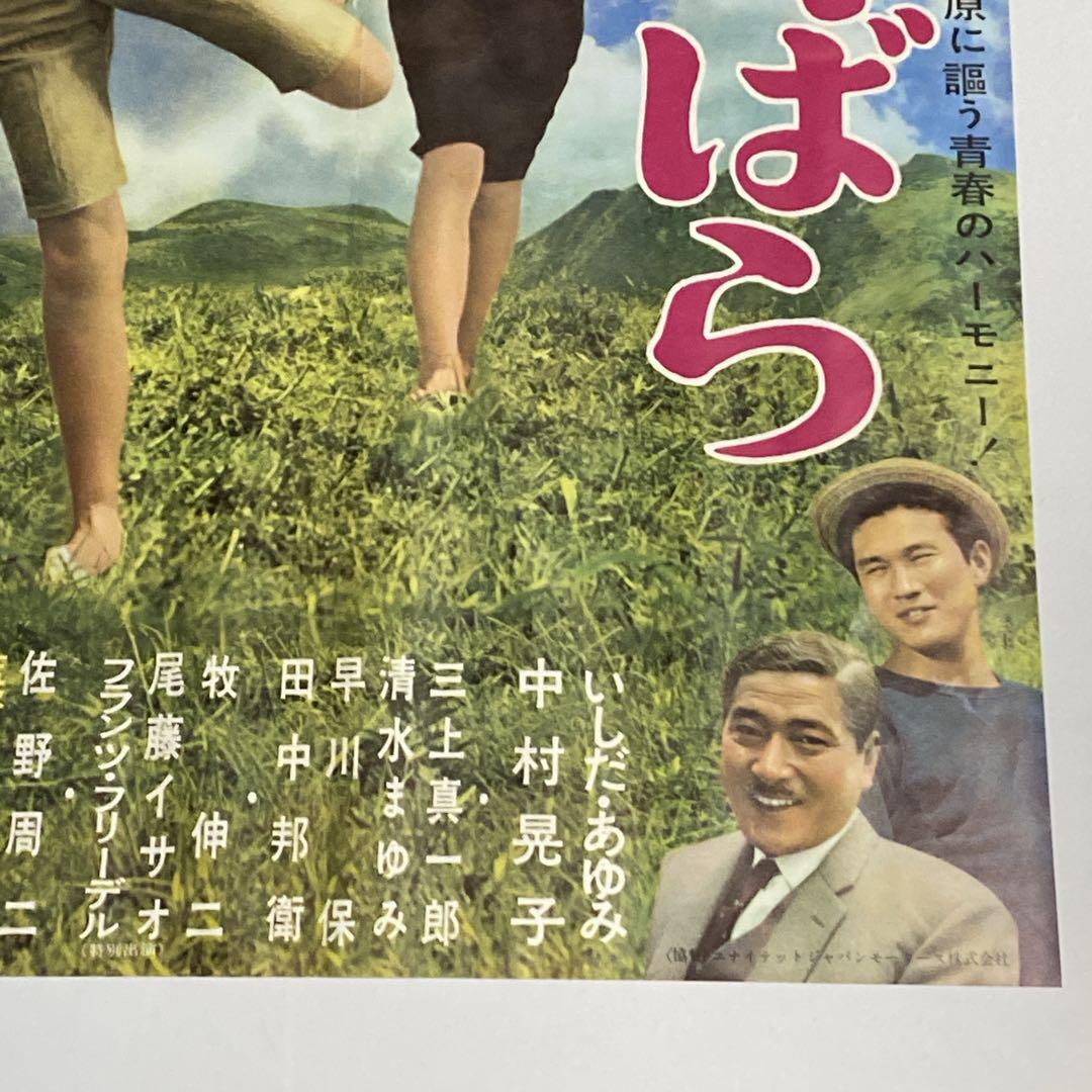 1965 Wakai Nobara Movie Poster - Ayumi Ishida, Akiko Nakamura, Shochiku (B2 Size)