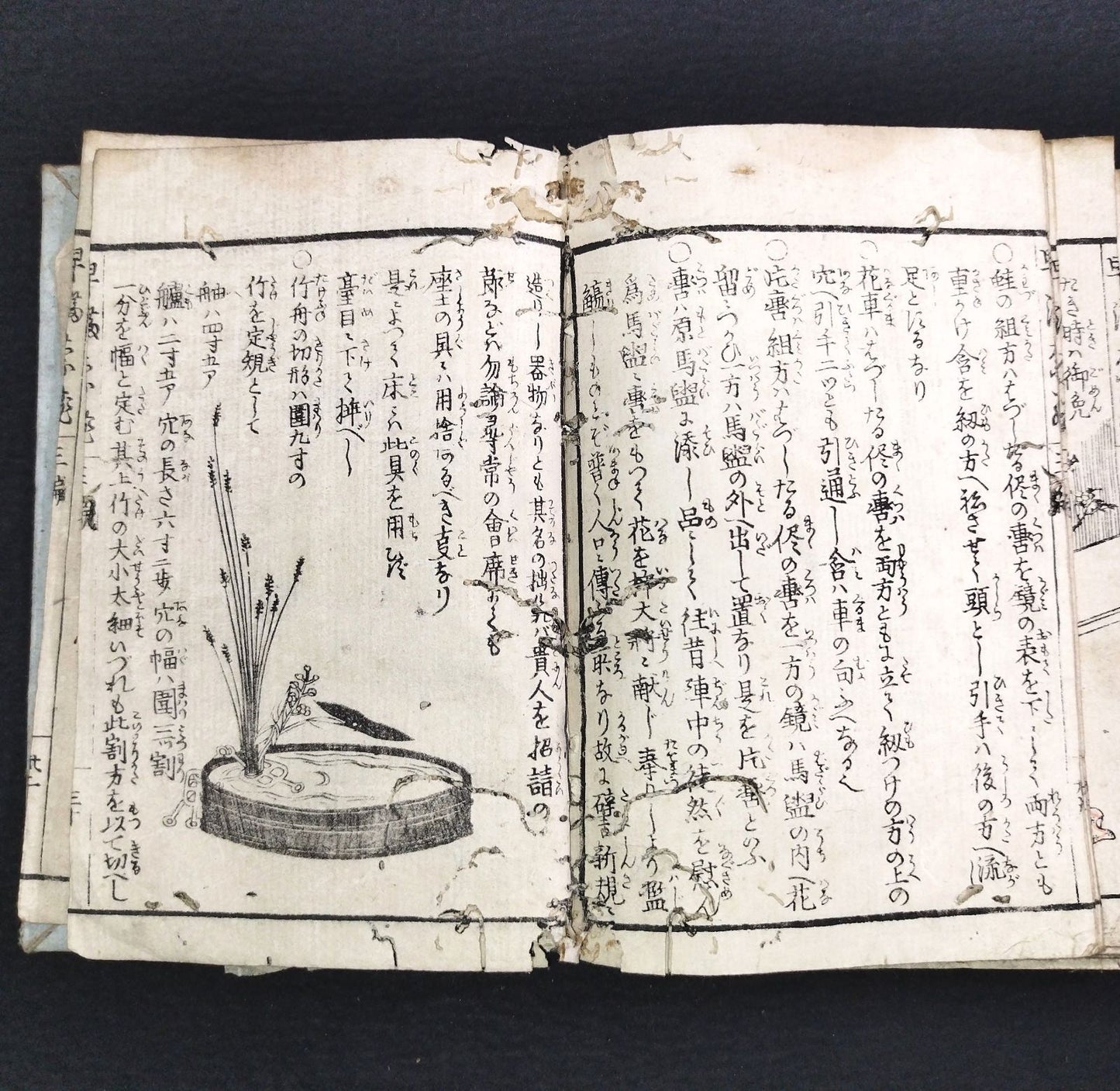 "Ikebana Early Techniques" (Seika Hayamana Hishu) 3 Volumes, Illustrated Woodblock Printed Book (Edo Period)