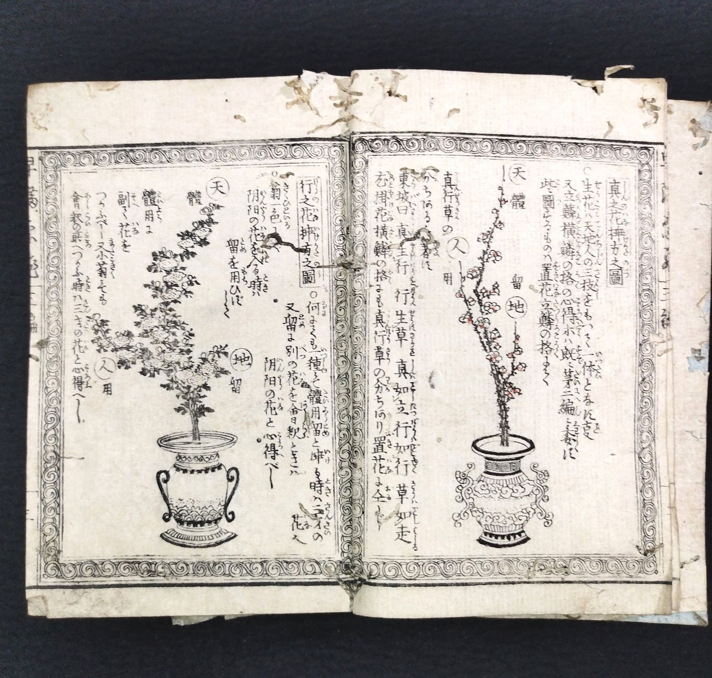 "Ikebana Early Techniques" (Seika Hayamana Hishu) 3 Volumes, Illustrated Woodblock Printed Book (Edo Period)